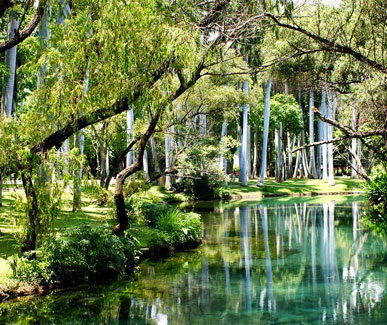 Parque Natural Las Estacas